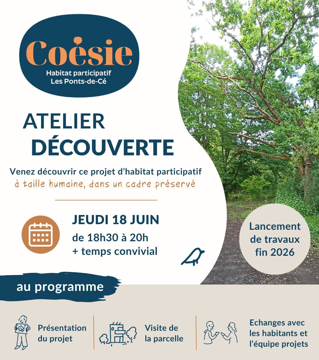 Actualité Habitat participatif COESIE : atelier découverte